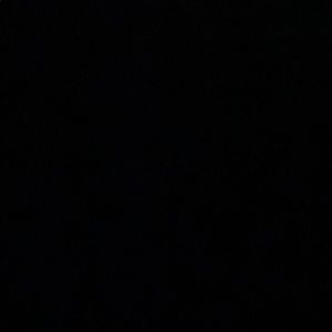 Meet your Posher, Pauline